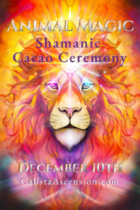 Animal Magic Shamanic Cacao Ceremony with Calista